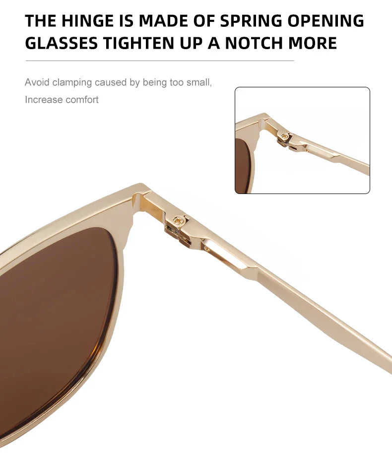Sandro Vetra Sunglasses